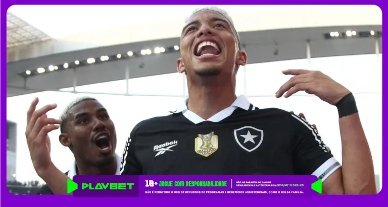 Imagem ilustrativa dos jogadores do Botafogo em comemoração de gol pelo Brasileirão